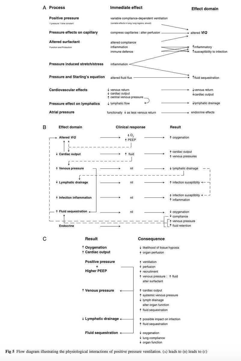 Every change we make on the vent has a cascade of effects across organ systems: not merely (merely!) pulmonary and cardiac, but also lymphatics, inflammation & coagulation, renal...We should be humble when predicting effects of our interventions. https://academic.oup.com/bja/article/101/4/446/29062415/n