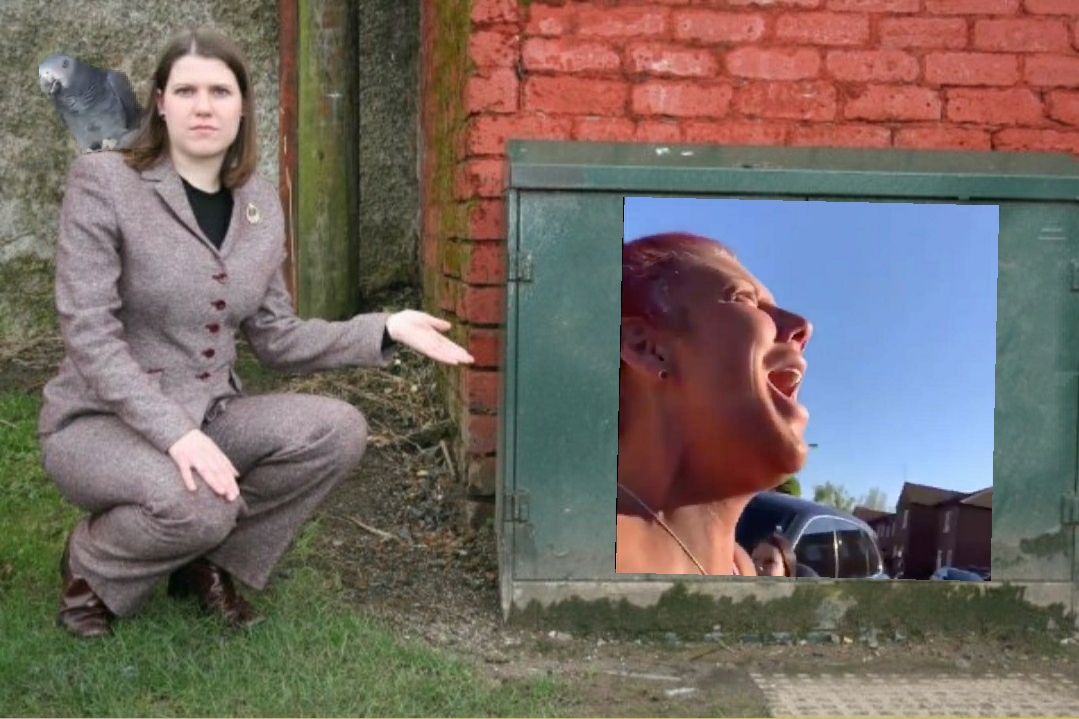 Jo Swinson Pointing at Things tweet media