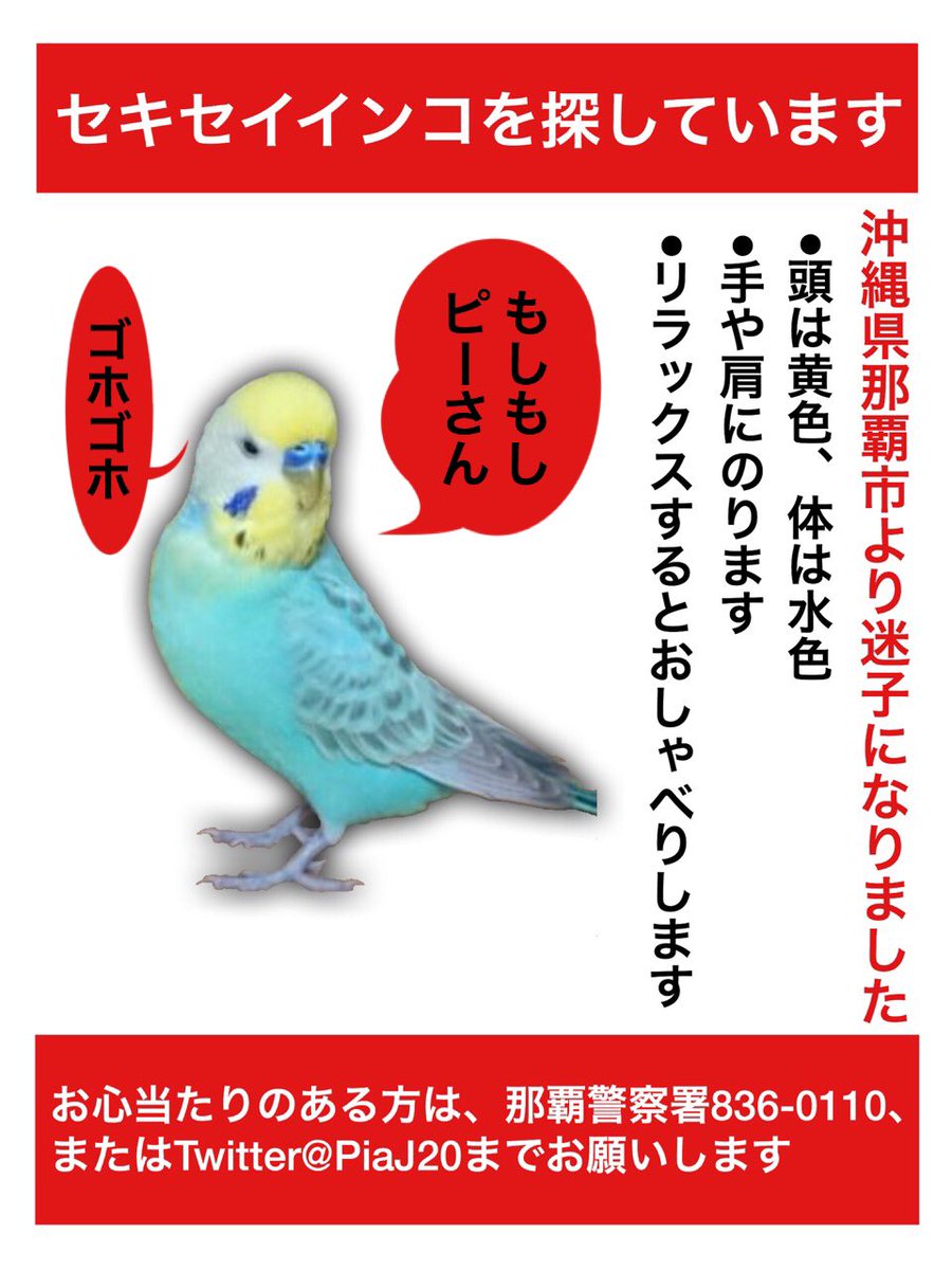 PiaJ20's tweet photo. 今までピーや保護鳥の拡散ご協力頂き本当に有り難う御座いました。長い間暖かい言葉、助言を頂き心より感謝申し上げます🙏いつかどんな形でも会えたらと思います。又迷子の子達が本当の家族と再会できる様心より願っております。ご協力頂いた皆様本当に有り難う御座いました。 https://t.co/sDDETUCUgl