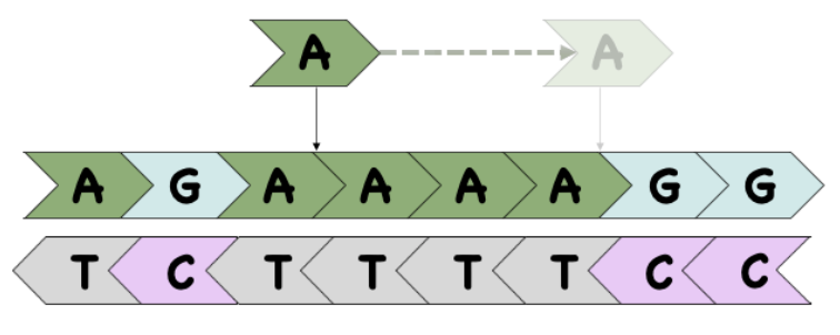 ensembl's tweet photo. Analysing variants in repeat regions?
The #EnsemblVEP can normalise them now to standardise the output for alleles described using different conventions, such as VCF and HGVS.
Read the #Ensemblblog for details:
https://t.co/ODv8bH8N7U https://t.co/vpw5ceVKTB