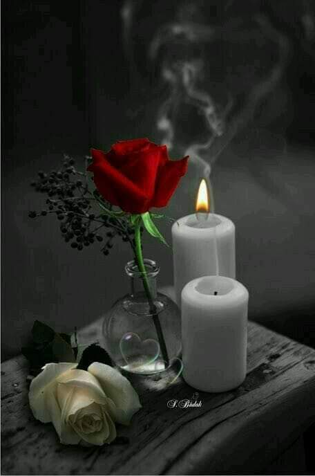 ASUS RELUC NGO tweet media