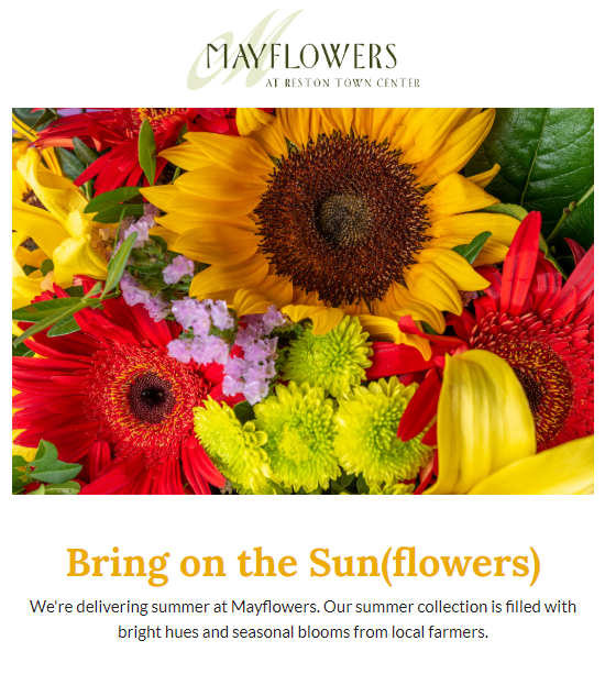 TimsReston's tweet photo. . @MayflowersRstn @RestonTwnCenter #Reston #Flowers https://t.co/lEj0cAfMRr