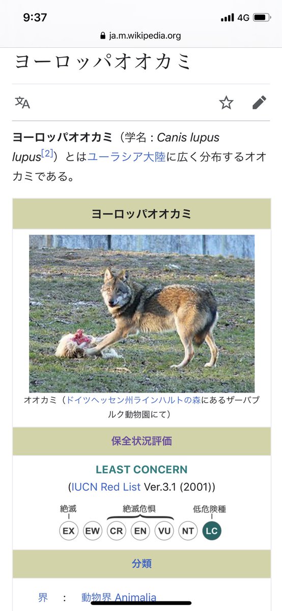 Valletta学会極東支部 白鯨研 アークナイツ 各オペレーターの原型 章1 ループス Lupus ラテン語の狼 3 プロヴァンス 生物原型 ヨーロッパオオカミ 尻尾はもふもふ点が同じ 毛色の原型 ラベンダー プロヴァンスは地名であり フランスの南部に位いる
