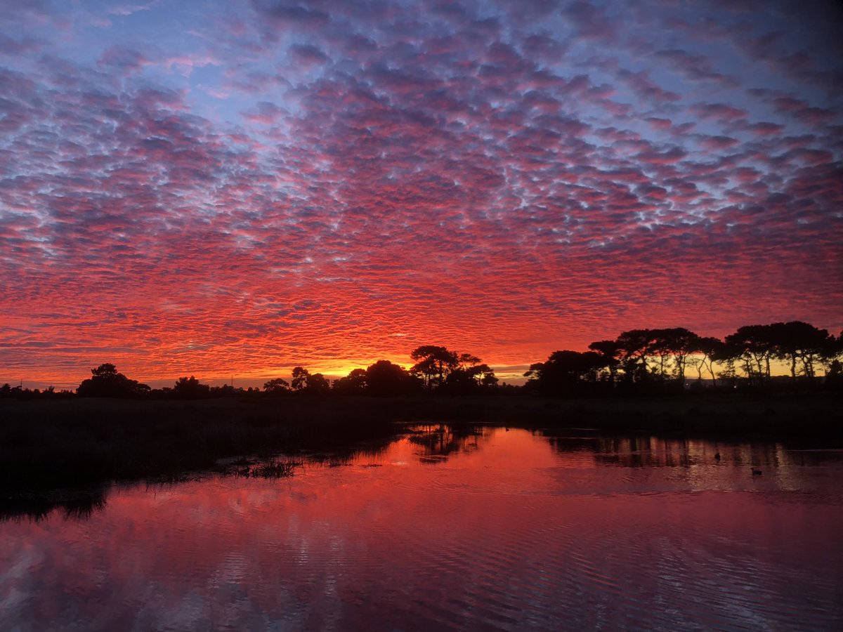RAGC_Links's tweet photo. Amazing sunrise over the ASR wetlands this morning. #theASTMA #thisismyoffice https://t.co/ZTdeJl74XZ