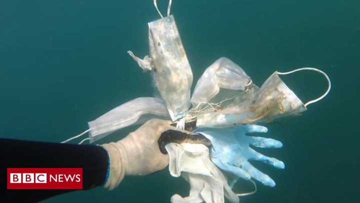 BBCWorld's tweet photo. "It's the beginnings of a new type of pollution" French diver's film shows discarded gloves and face masks littering the Mediterranean Sea
https://t.co/v38GfpeGpv https://t.co/VOoAL0pUs4