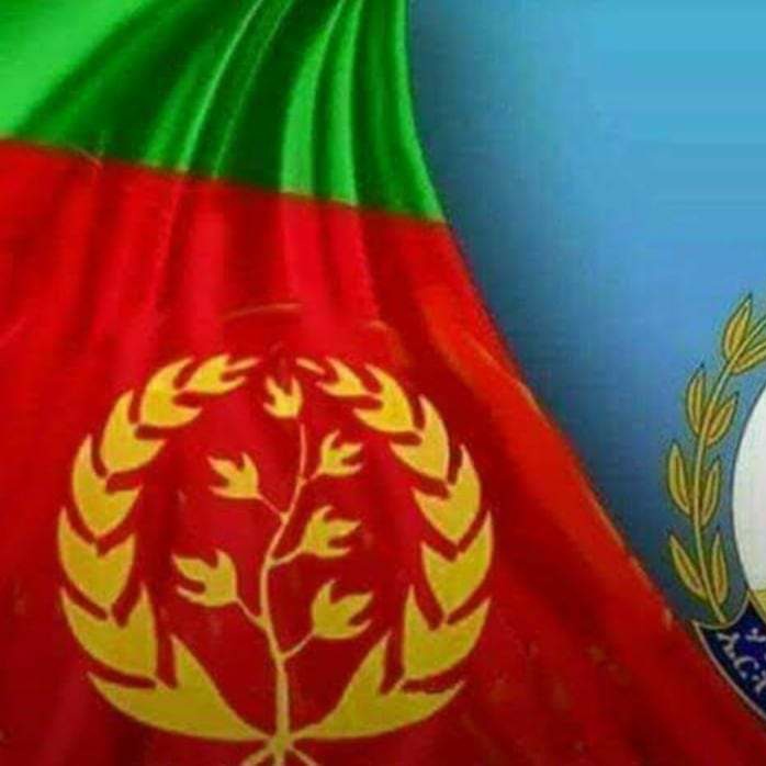 Landofcandoppl's tweet photo. The flag!               The face! 
#Eritrea@29        Beyan@12! https://t.co/EM40mxykwN
