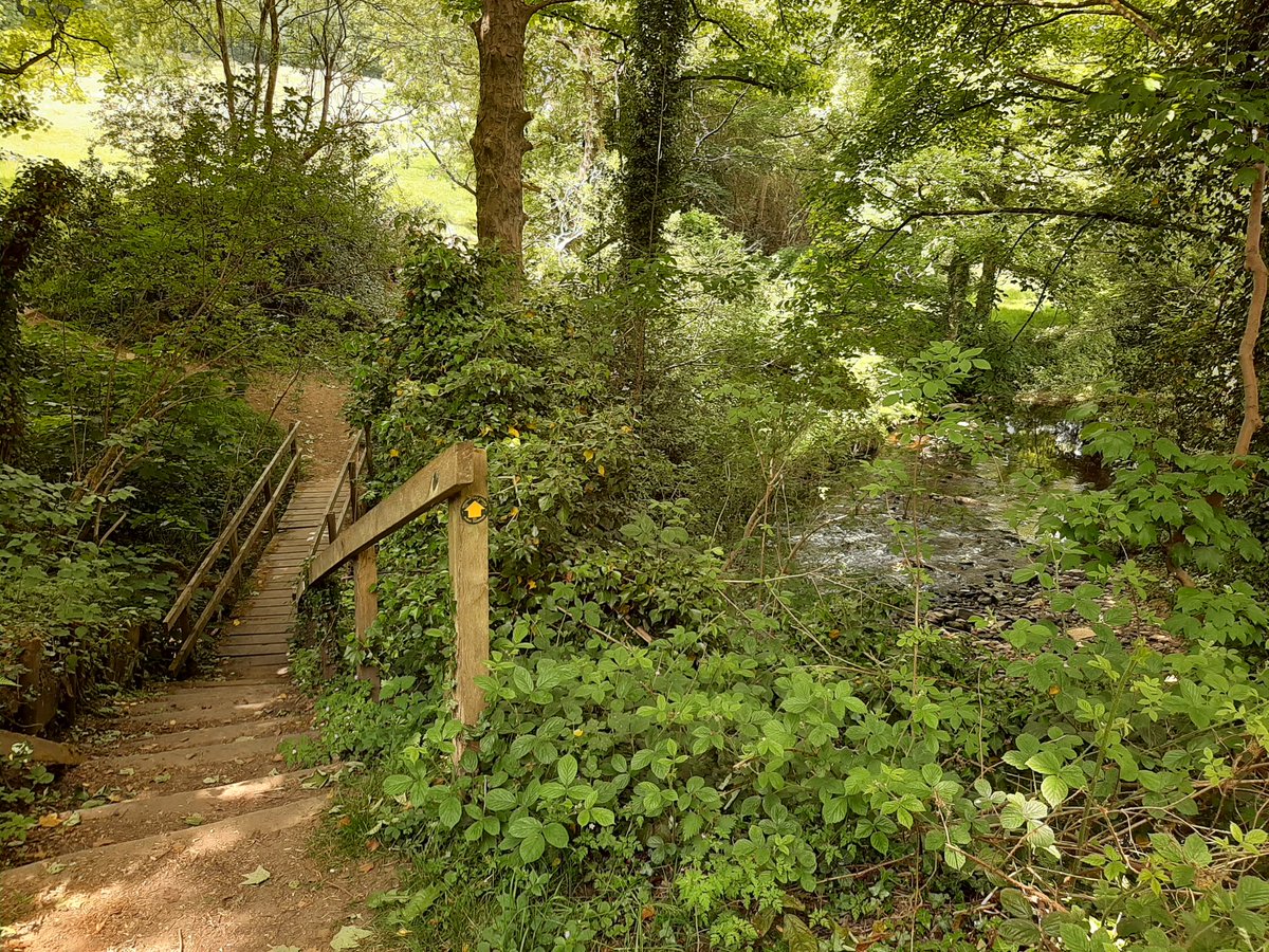 Today's (near deserted) walk was for work purposes too. This is the beautiful Loxley Valley, which I reckon rivals Devon