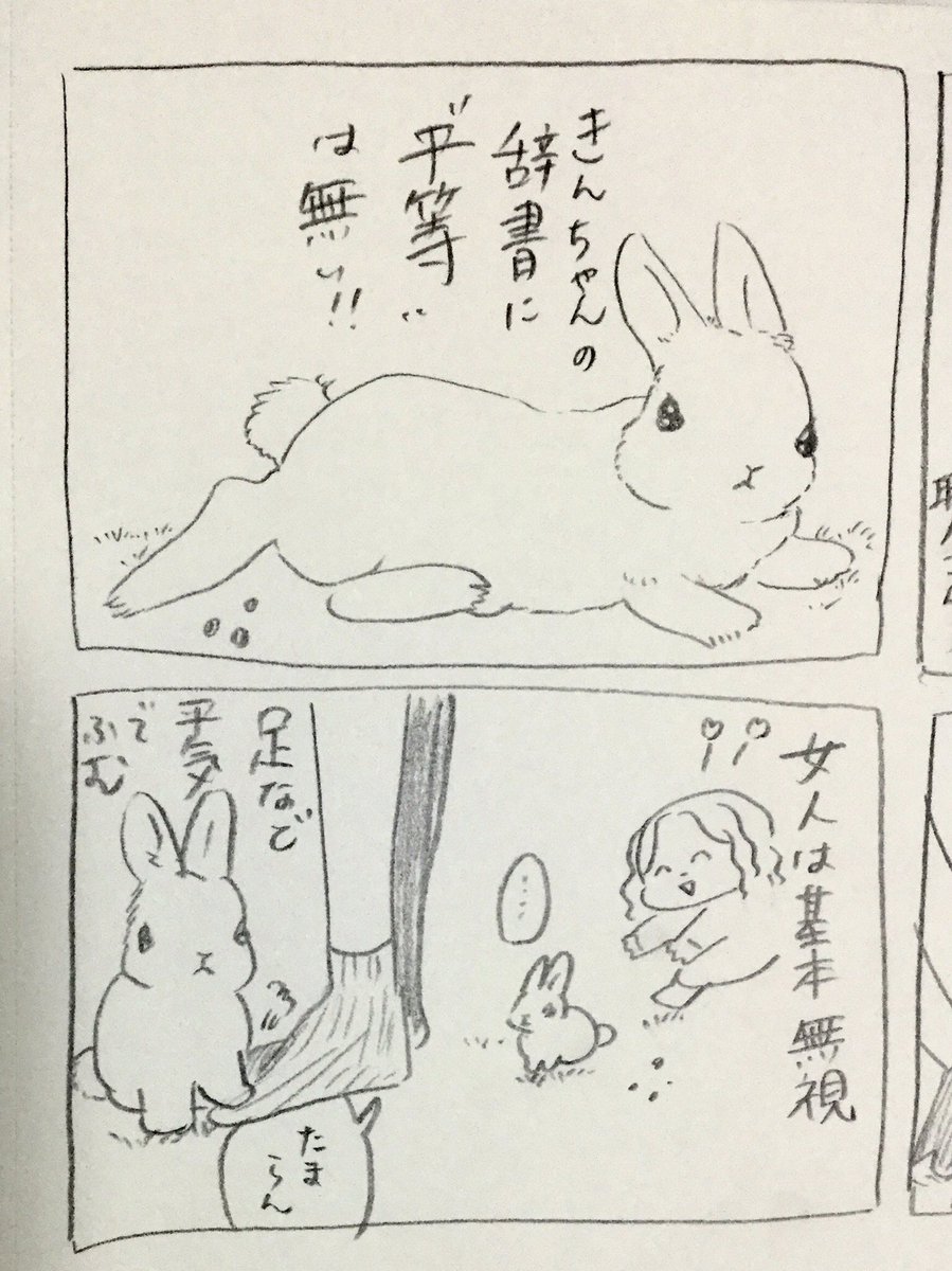うさぎ漫画
きんちゃん列伝2 