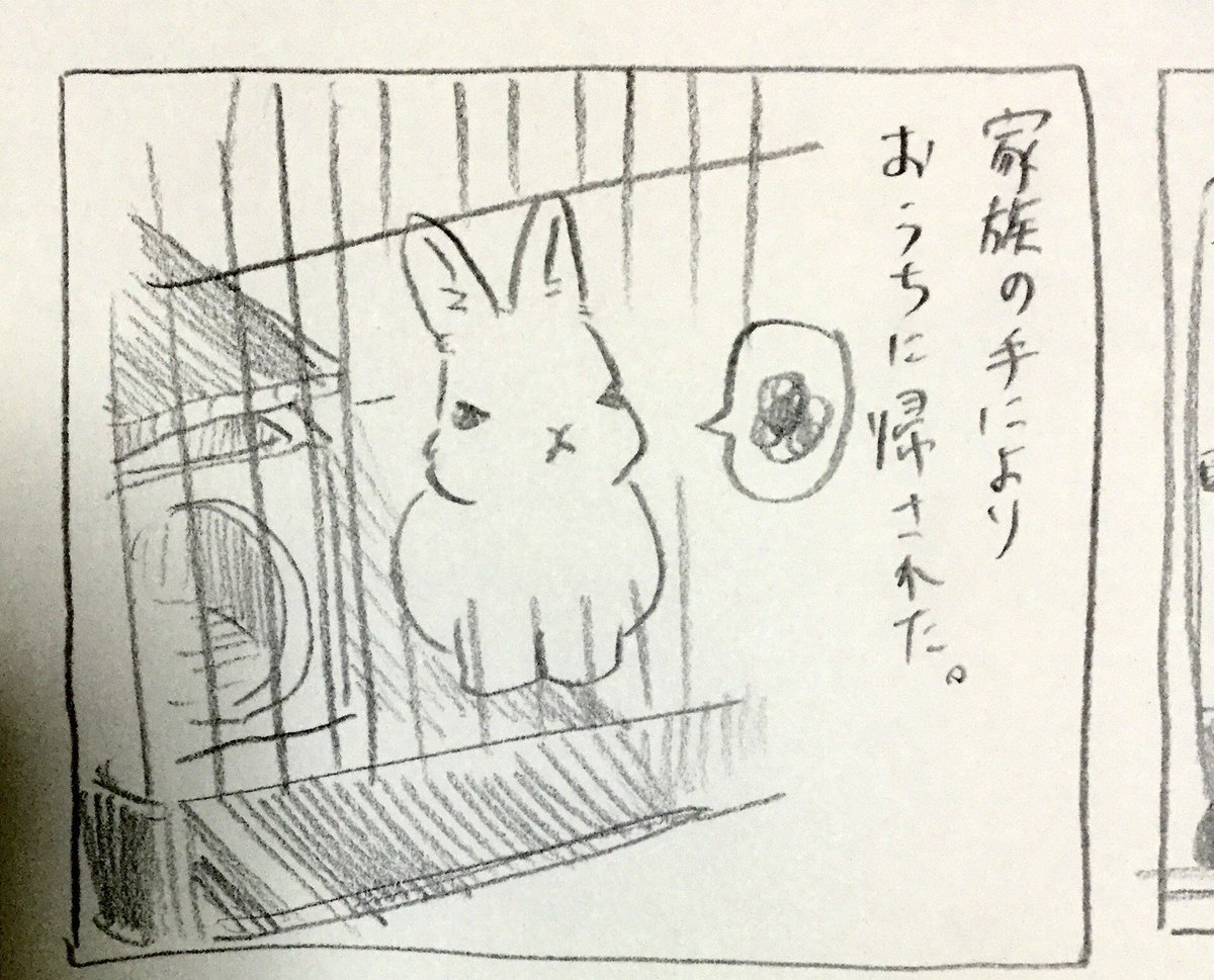 うさぎ漫画
きんちゃん列伝2 