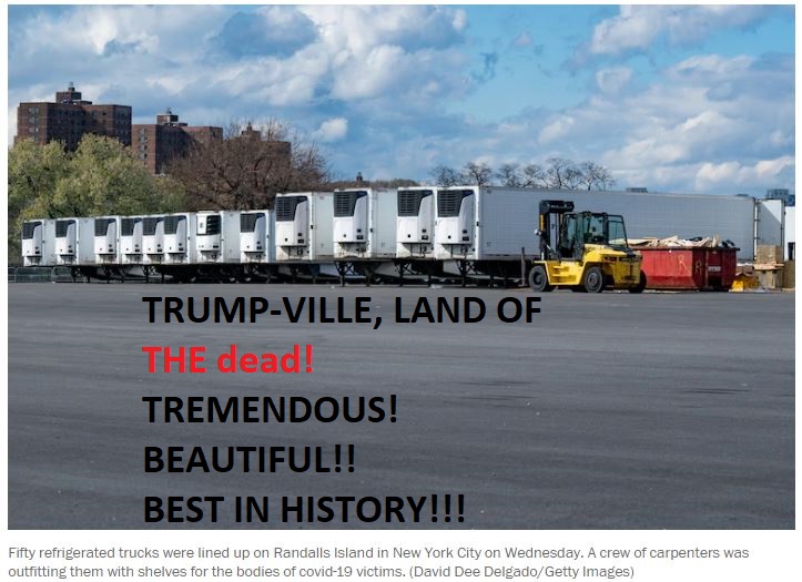 jbeckhamlat's tweet photo. @brithume @realDonaldTrump #growntindustry promotion https://t.co/0qSRNIvv88