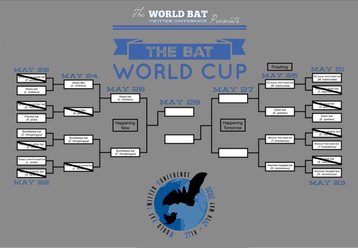 Want to know which bats are coming up? Here’s the bracket with the lineup and dates! Be sure to vote for your favorites & share the  #BatWC2020 to your TL!