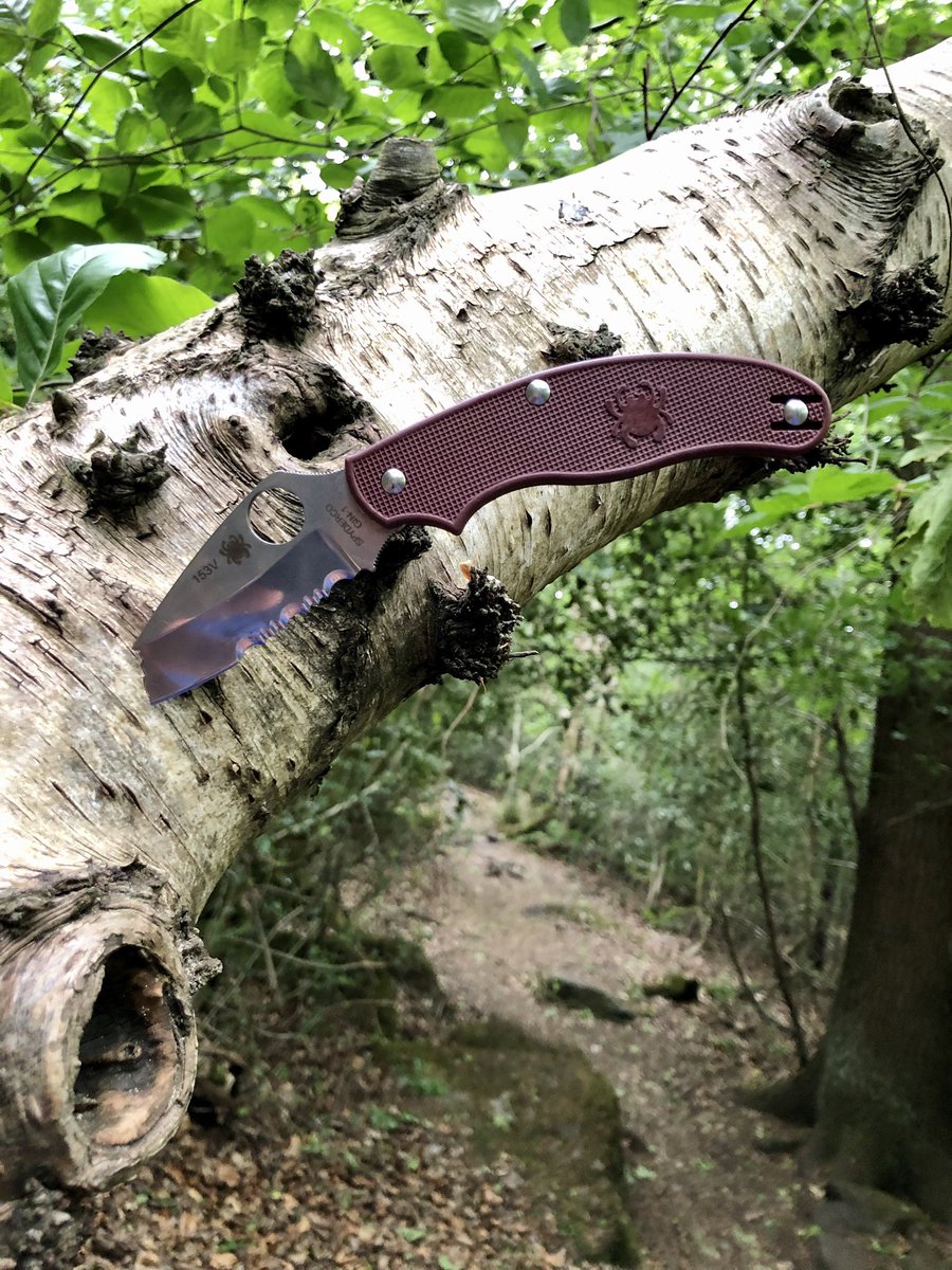 EdcKev's tweet photo. #victorinox #wenger #spyderco #sak #sakallday #sakarmy #swissarmyknife #edc #edcuk #edcuklegal #edccommunity #edccooperative #everydaycarry #sakaddict #pocketknife  #myedc #sakcollector 
#outdoor #adventurer #bushcraft #campinglife #ruleno9 #rulenumbernine https://t.co/cYPa7utr3Q