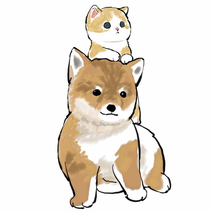 「柴犬 座る」のTwitter画像/イラスト(新着)｜5ページ目