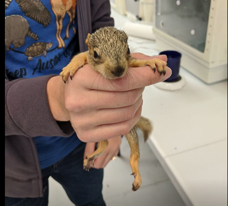 Everyday Superhumans tweet media