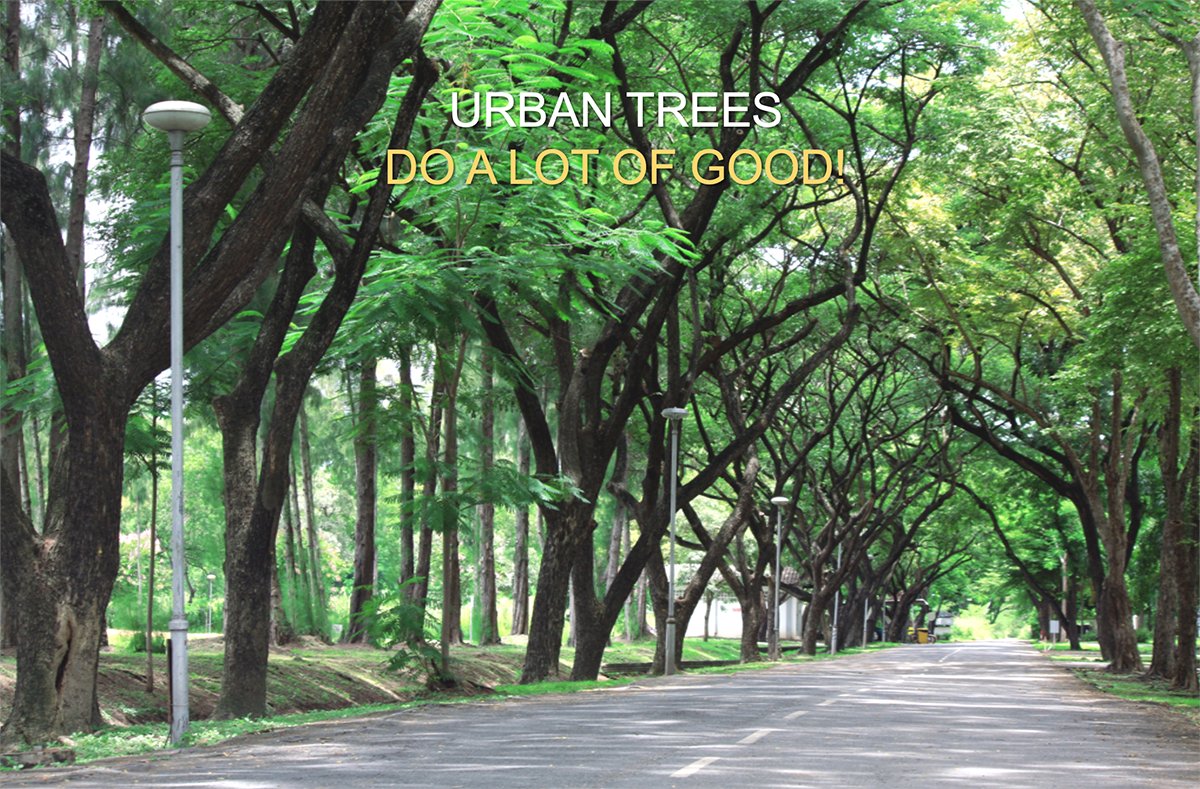 ForestryCommish's tweet photo. URBAN TREES MATTER
• Urban trees ABSORB POLLUTION from the air
• Urban trees MAKE OXYGEN for us to breathe
• Urban trees REDUCE SOIL EROSION
• Urban trees REDUCE FLOODING
Continue reading at: https://t.co/xRvKoLbVVE
#UrbanTreesMatter #SCFCUrban #NASF100 #CentennialChallenge https://t.co/VawD4fxg33