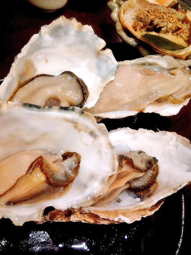 生牡蠣ガチャ
右上の子が他の2.5倍くらいでかくてプリプリだった😋💕 