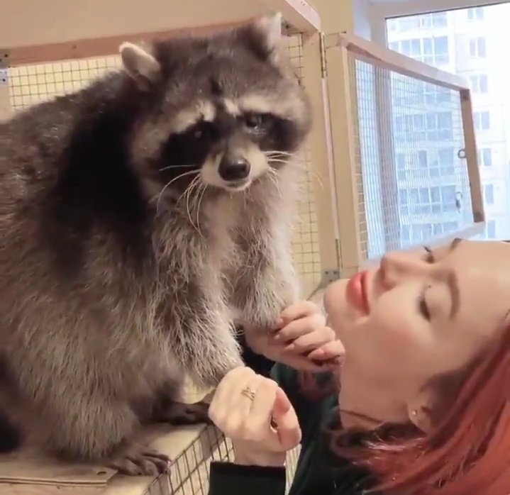 Purple ♡ Bitch ONLYFANS on Twitter "Do you kiss your pet? ️ https