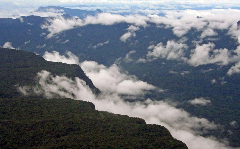 8. Guyana is almost 80% covered in in rainforests which are considered to be some of the most unspoiled rainforests in the world.