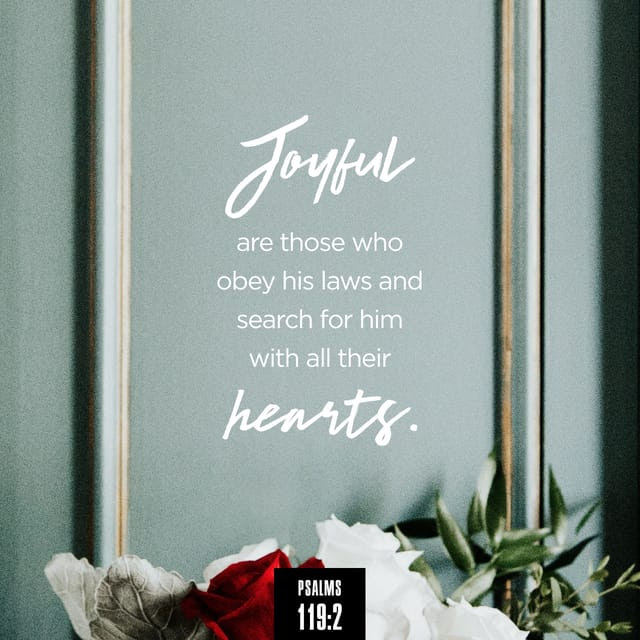 unionumcbk's tweet photo. ”Blessed are those who keep His testimonies, Who seek Him with the whole heart.” - Psalm 119:2 (NKJV)

#Union #UMC #Bible
#VerseOfTheDay 
#Daily #Reminder https://t.co/zkwYWQuLF5