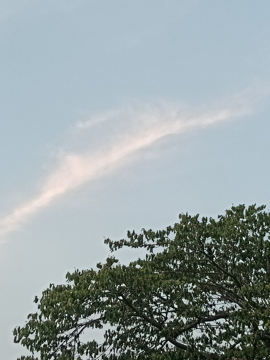 longhandnotes's tweet photo. Not bearing showers
An arching cloud may yet bear
An aura for trees
#haiku #cloudbow #SameCloud #DifferentTrees #VisualRhyme https://t.co/Q8p5EzhdGq