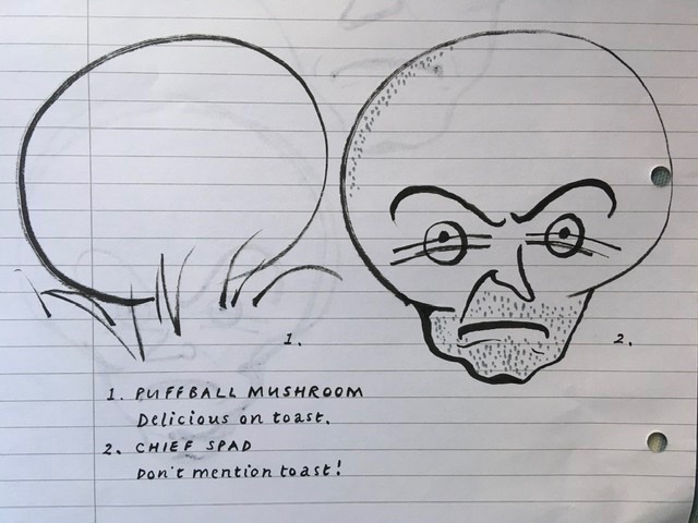 Brush pens, love ‘em. Eyebrows, though. Not a patch on #BunnyvsMonkey