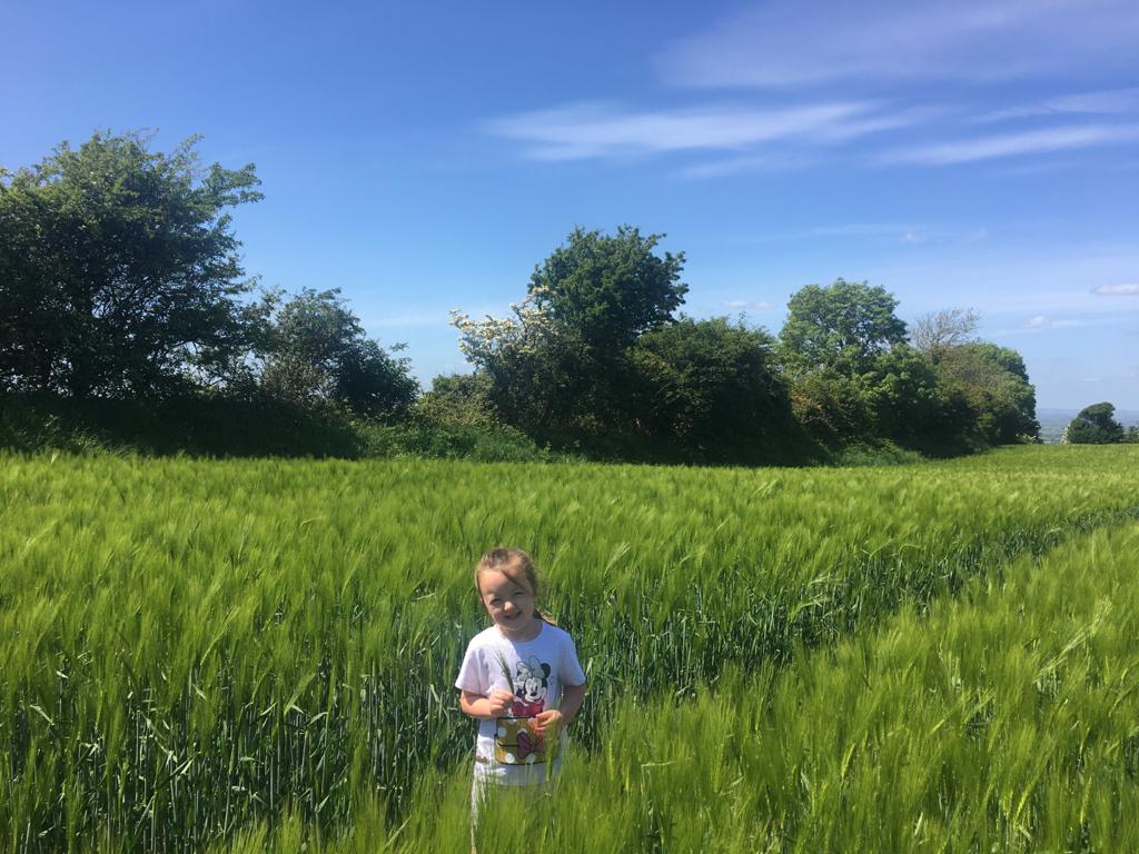 Look who I found in the field of barley..@CiaraTCourtney 🤔 The glorious sunshine 🌄in the fields of #louth #louthlandoflegends a great wee #county 🤗