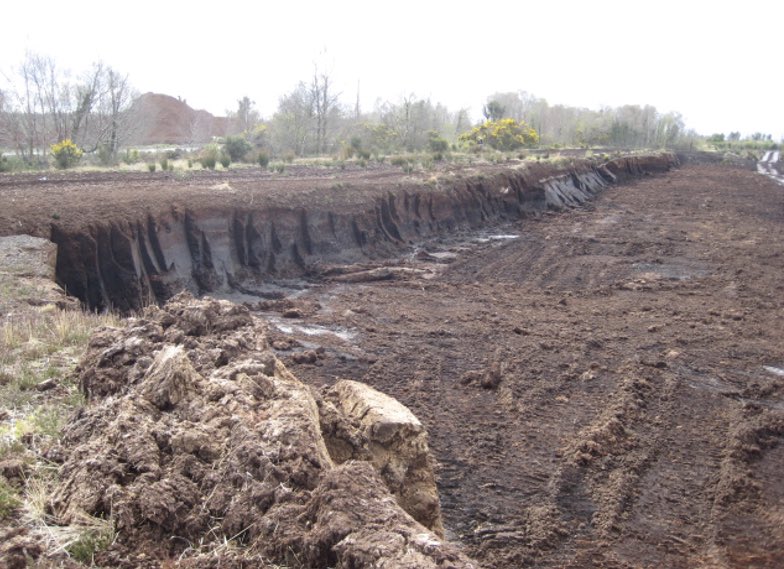 Incidentally, the language here is important. The Commissioner uses ‘peat harvesting,’ as if peat were a crop. But a raised bog takes thousands of years to form; it grows at only c.1mm per year if healthy & ‘active’; once it’s gone, it’s gone. That’s ‘extraction’. 12/