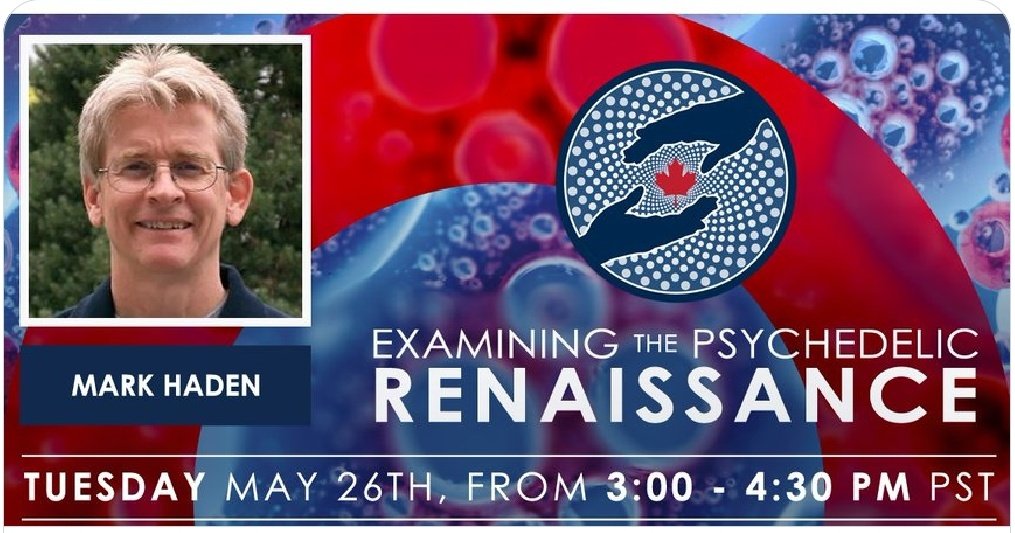 Mapping the Mind: Toronto Psychedelic Conference tweet media