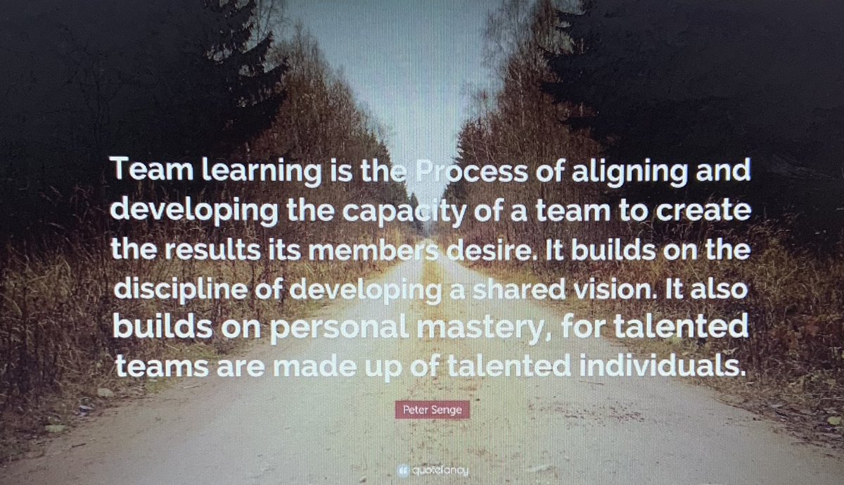 jillfox418's tweet photo. #onehiveonepurpose #NISDEllison   Teams have a common goal while helping each other grow individually; we grow as a team as well! https://t.co/f7a537nc2k