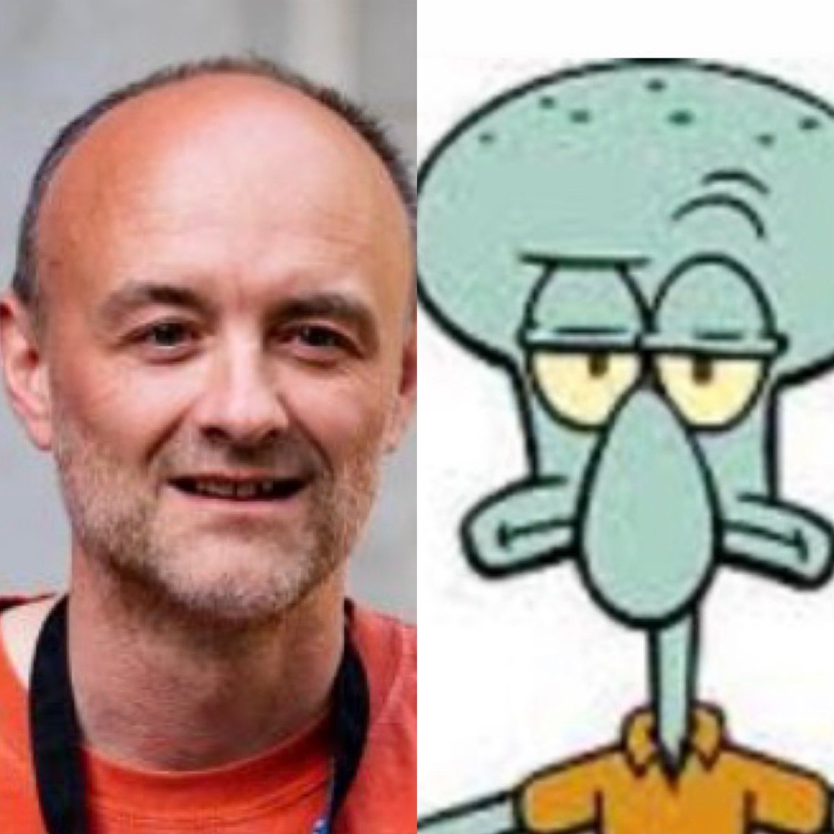 Why do I see Squidward whenever I see #DominicCummings?