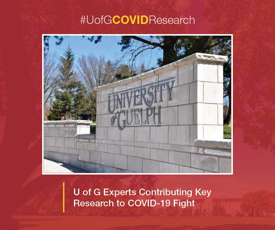 University of Guelph tweet media