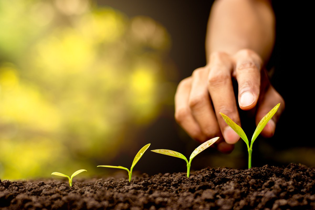 Praesta Partners tweet media