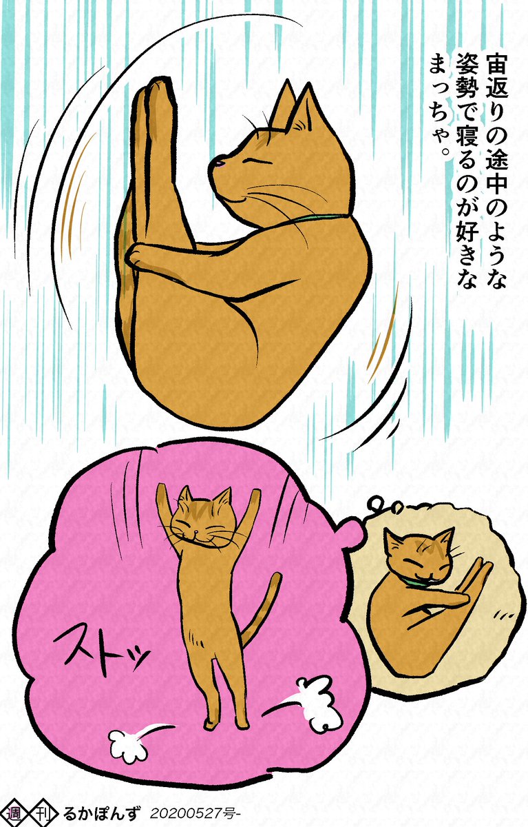 【猫まんが】
変な姿勢で寝るのが好きな猫、まっちゃ

#保護猫3兄妹 #猫 #猫漫画 #コミックエッセイ #ペット漫画 