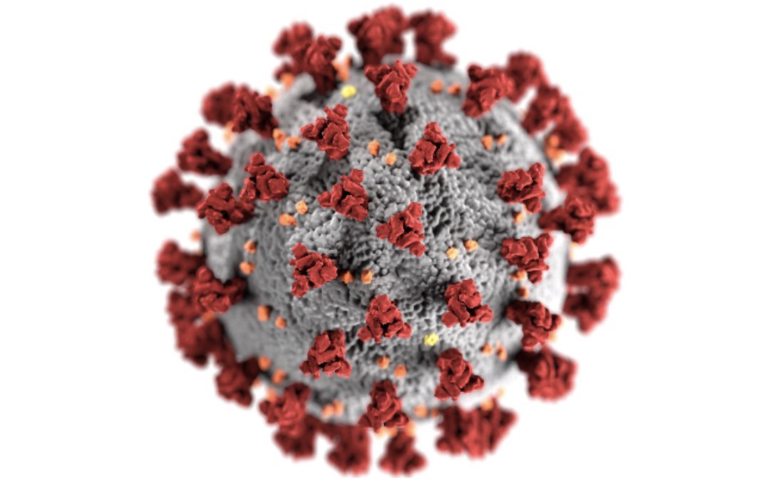 2030Group's tweet photo. As governments and healthcare professionals around the world grapple with how to manage the #covid19 pandemic, we discuss how #blockchain technology can help https://t.co/VdUJp8buoD #healthcare https://t.co/vH3U6l6AuS