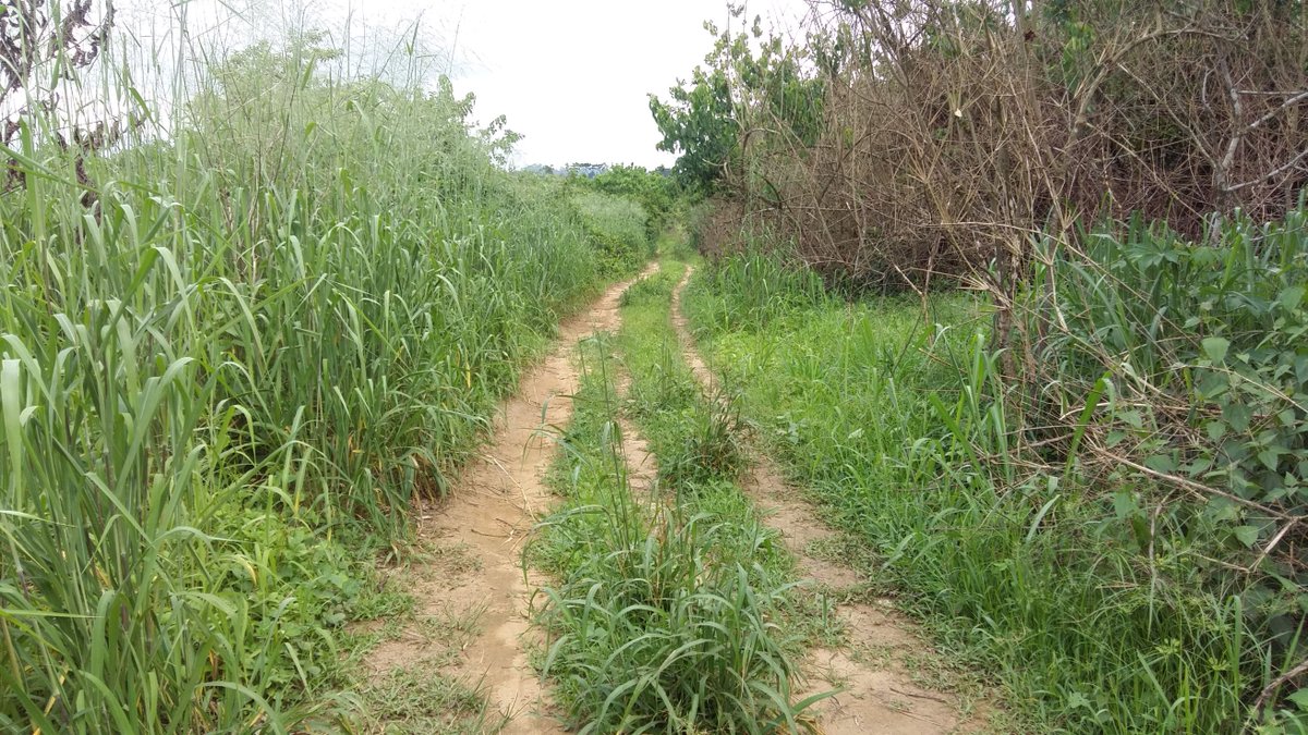 TimsOfficiel's tweet photo. #TIMS

Une de nos nombreuses passions est la protection de la #biodiversité.

La #nature est #source de #vie, ensemble pour une #gestion #durable de nos #ressources #Naturelles.  

Nous sommes présents partout où le besoin se fait sentir https://t.co/b3z9zZB8zH