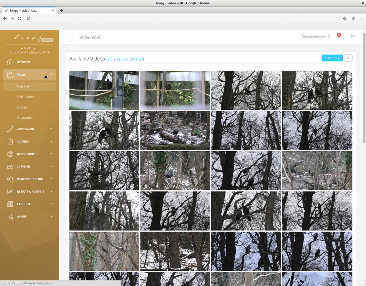 loopbio quantitative biology tweet media