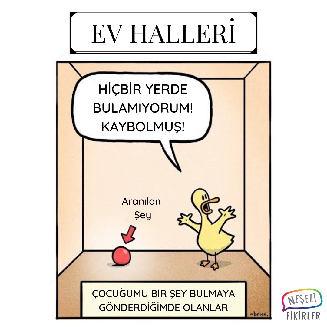 🌟Evinizde aniden bir şeyler kaybolur mu?