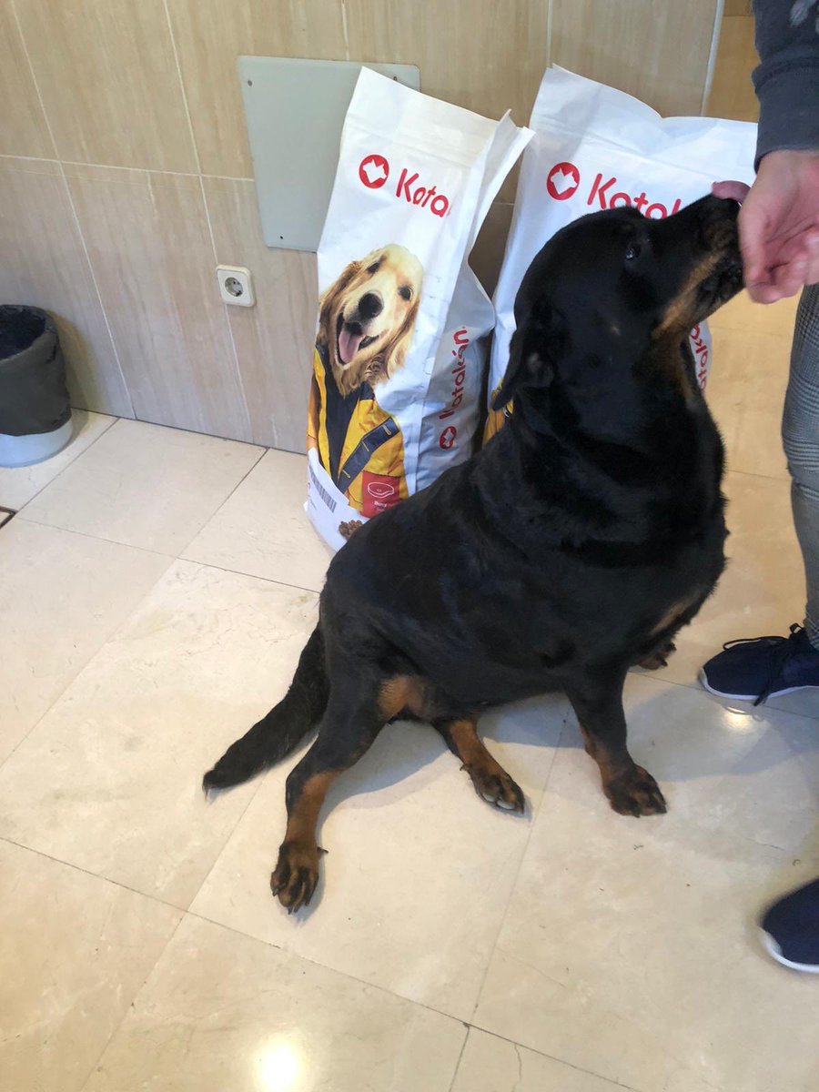 Bienestar Animal Latina tweet media