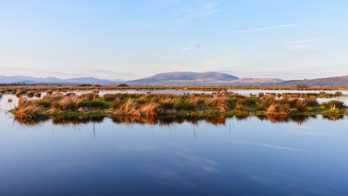 Wigtown Bay https://en.wikipedia.org/wiki/Wigtown_BayA place of hunting and fishing in the past amongst other things, also the place of Wigtown Martyrs. Today farming and a nature reserve.Wigtown Martyrs stone, the quarry you see is where a lot of stone was taken to liverpool docks...