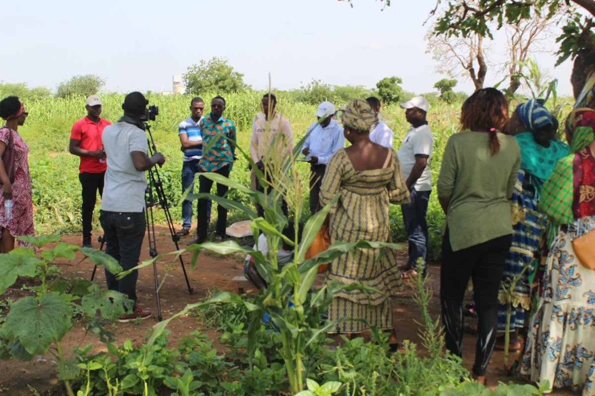 PGreenBuilders's tweet photo. 5- Stakeholders of Ouagadougou interacting with stakeholders of Tamale, including market gardeners at the experimental site of the Green Builders project in Ouagadougou

 #wastemanagement
 #wasterecycling
 #wasterepurposing
#sanfo.s@wascal.org https://t.co/SQG1aGMSEk