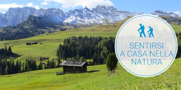 dolomiti_it's tweet photo. L'Alpe di Siusi è una delle meraviglie più affascinanti delle Dolomiti, circondata dal Sassolungo, il Sassopiatto e il Gruppo dello Sciliar

Scopri di più sull'Alpe di Siusi e dove dormire: https://t.co/wmGe9E0LBN https://t.co/jSL5UXMpeS