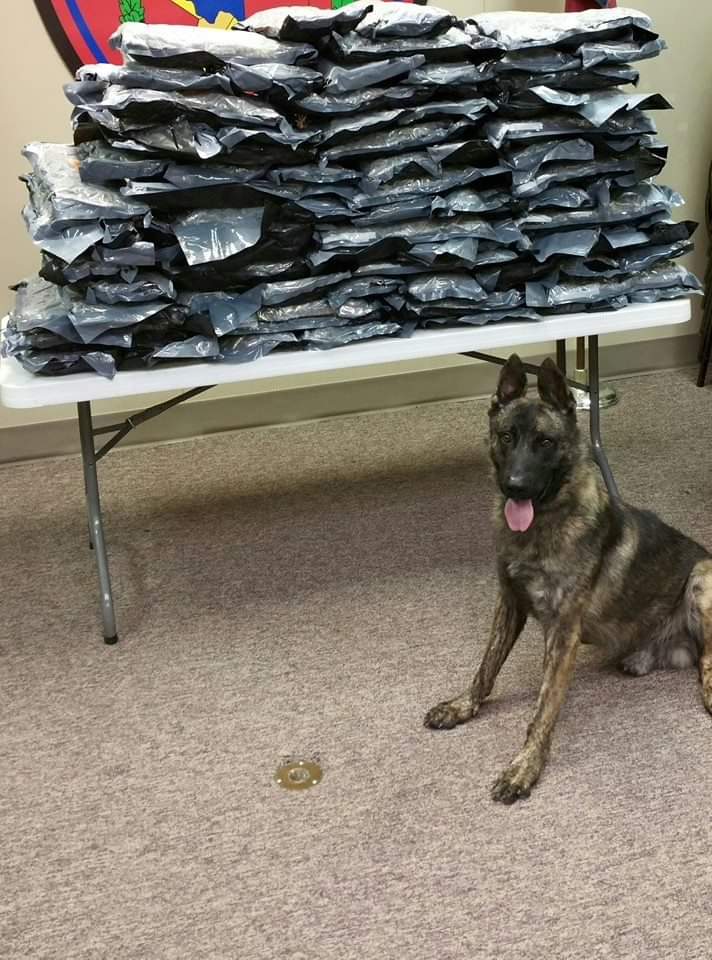 JirehK9's tweet photo. π₯πhttps://t.co/pSNRUwjp4V ππ₯
#JIREHK9 #POLICEK9 #SHERIFFSOFFICEK9 #CONSTABLEK9 #STATETROOPERK9 #STATEPOLICEK9 #SECURITYK9 #PRIVATESECTORK9 #K9UNIT #K9 #K9HANDLER #K9TRAINER #K9TEAM #PATROLK9 #INTERDICTIONK9 #VETERANOWNEDBUSINESS #VETERANOWNEDANDOPERATED #GODISGOOD https://t.co/YFvKnj3aDb