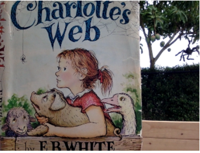 MrsBerlatsky's tweet photo. Ending FY2020 with some Book Cover Challenge photos of our favorite books to inspire some summer reading!  #PBCSDVirtualSchoolLibrary #VerdeVirtualMedia #HoldingStrongFY2020 #PeaceLoveLiteracy https://t.co/85lRUBPRX2