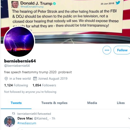 8/ Some of the most prolific tweeters on the hashtag are listed in the table, and include  @berniebernie64  @stan12358  @ewanorandy  @coatsey9110  @1hannahbelle  @sensaycommon2 . Some such as Sensay were very active yesterday too, some have rather hateful bios > such as stan12358