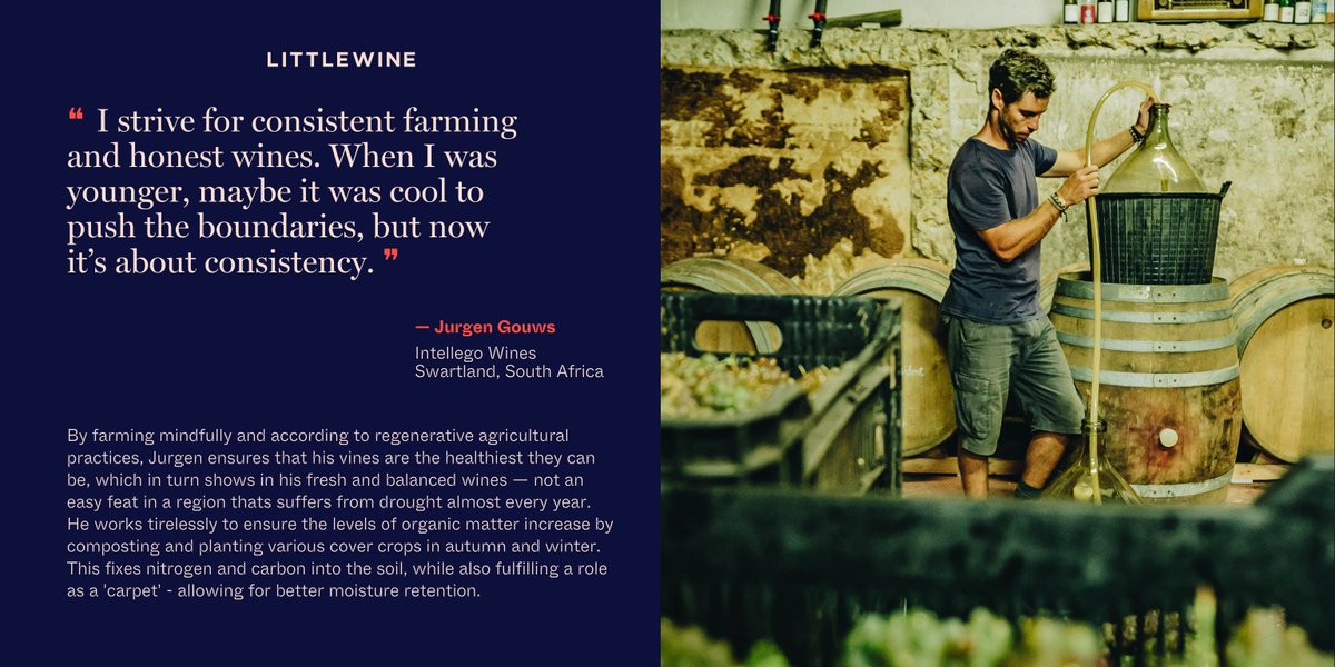 Welcome: Jurgen Gouws of INTELLEGO🌱
It's midnight &amp; we’re dancing the Afrikaans 'Sokkie' in downtown Riebeek-Kasteel w/ Jurgen &amp; friends. We know that when we wake up 'babbelas,' Jurgen will already be in the vineyards — work hard, play hard.
NEW PROFILE: littlewine.co/blogs/winemake…