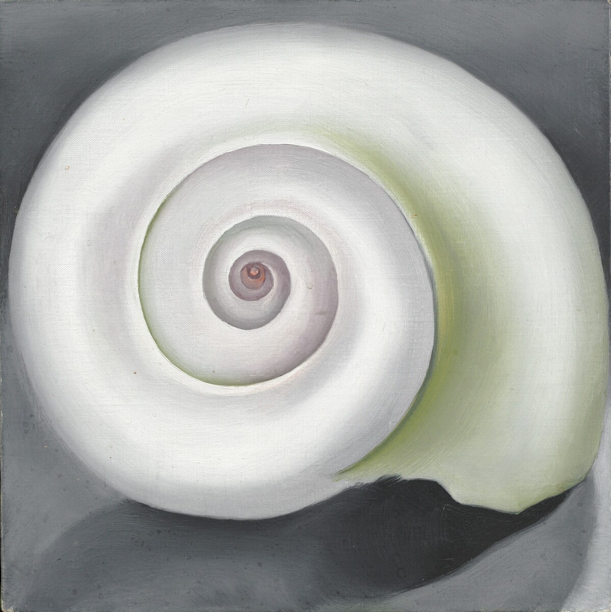 Thanks for following along on today’s tour of gallery 415B in the East Building!For today’s  #MuseumMomentofZen, Georgia O’Keeffe’s “Shell No. I,” from 1928.