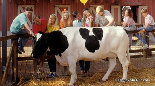 TheMickeyWiki's tweet image. In Mickey's Starland guests can visit Grandma Duck's Farm, where they can meet Minnie Moo!