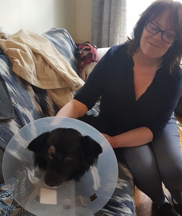TheresaRyder_'s tweet photo. Huge thanks to Niamh and all at @valuevets #Cork for their excellent care over Beanie's surgery today. He looks sad in these early pics but is perking up nicely, although wishing someone would get him out of the plastic bucket he's stuck in #dogslife #bringchicken https://t.co/ruWavja82l