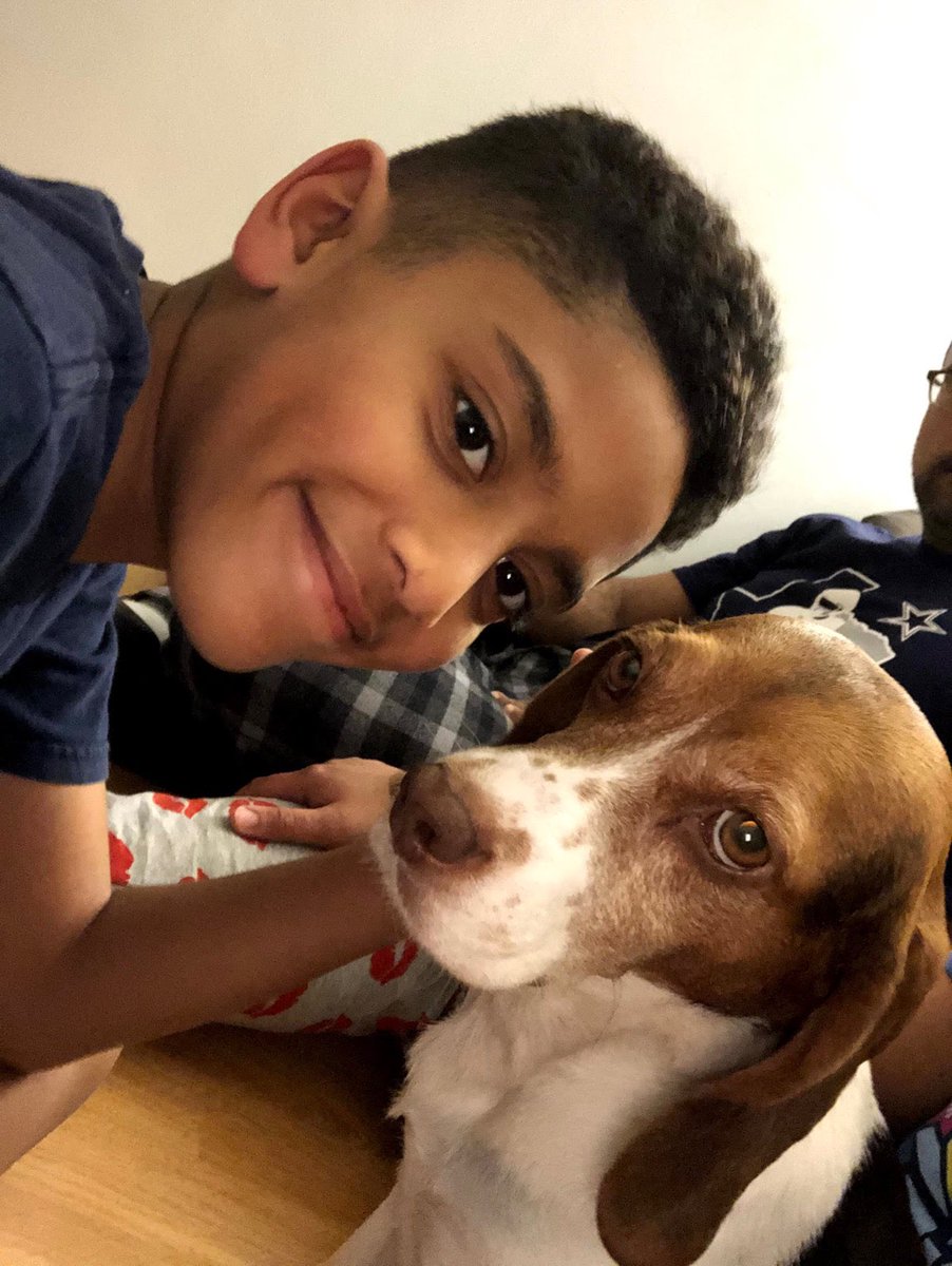 sdicecco's tweet photo. Joshua's #RemoteLearningBuddy Roxy is a rescue and a devoted friend. @PS14Bronx https://t.co/aVfewVl7YF