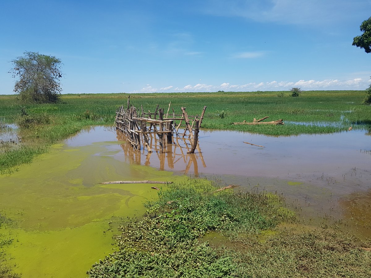 Intl_Lifeline's tweet photo. Here’s why you don’t just drill anywhere. A properly sited &amp; planned borehole should never be drilled so close to a lake where it can easily become flooded, unusable and a health &amp; safety risk. No one should have to risk drowning or waterborne disease to access clean water. https://t.co/VnfO2lliVP